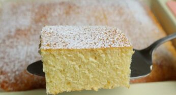Torta alta e soffice, come la faccio io non si batte: senza burro olio e zucchero | Dolce sano e squisito